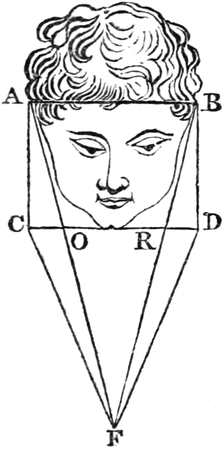 Measuring a Face