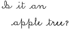 Cursive: Is it an apple tree?