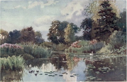 THE LAKE IN BOTANIC GARDENS  Many different kinds of trees surround this winding water, the banks of which are lined with a variety of rushes and reeds, and are inhabited by many sorts of water-fowl.