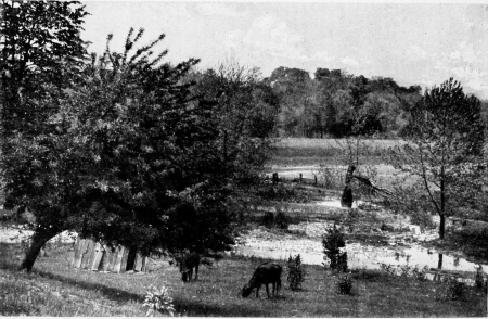 Overlooking the island which the Howells family cultivated