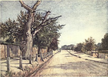 THE SPANIARDS ROAD, HAMPSTEAD