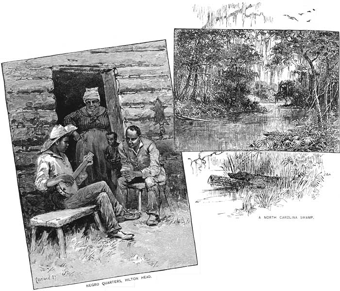 NEGRO QUARTERS AND A NORTH CAROLINA SWAMP