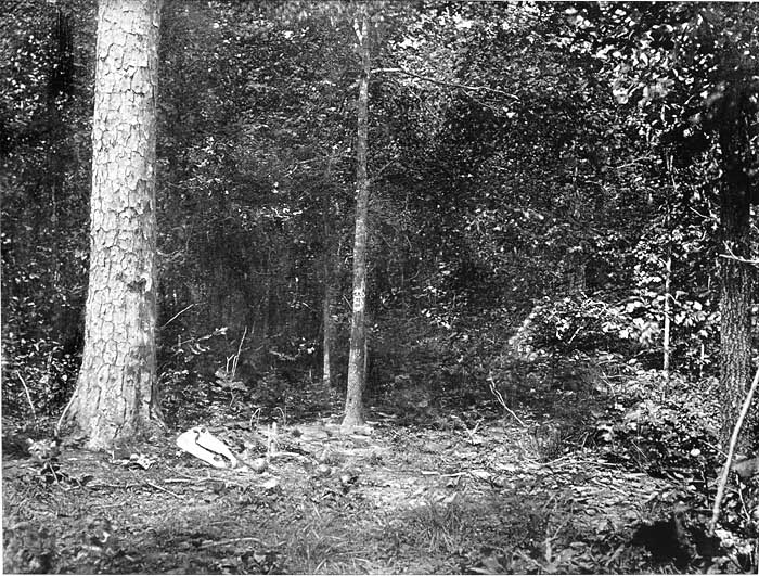 SCENE OF MAJOR-GENERAL JAMES B. McPHERSON'S DEATH