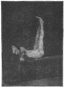 Exercise No. 9.—Reclining, hands grasping something back of head, raising both feet to vertical position.