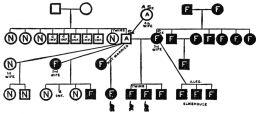 CHART II A.