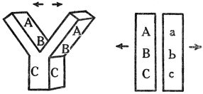 CHROMOSOMES IN CELL DIVISION  Figure 1, chromosome splitting in ordinary cell division, in which each determiner splits in half, contrasts with Figure 2, reduction division, in which the chromosomes of the pair are simply pulled apart.