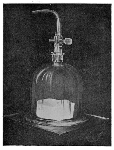 A Method of Growing Cultivations in a Vacuum over Pyrogallic Solution