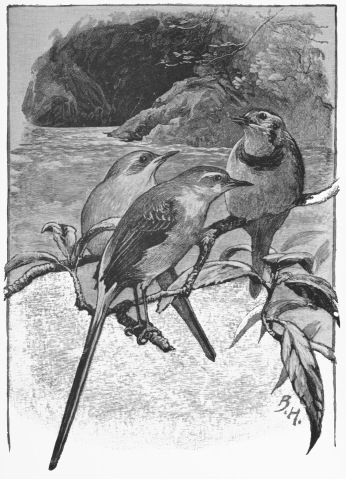 “Would you mind telling me, as I see you wag your own tails so constantly and so nicely, why you do it?”—P. 170.