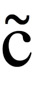 LATIN SMALL LETTER  C WITH TILDE