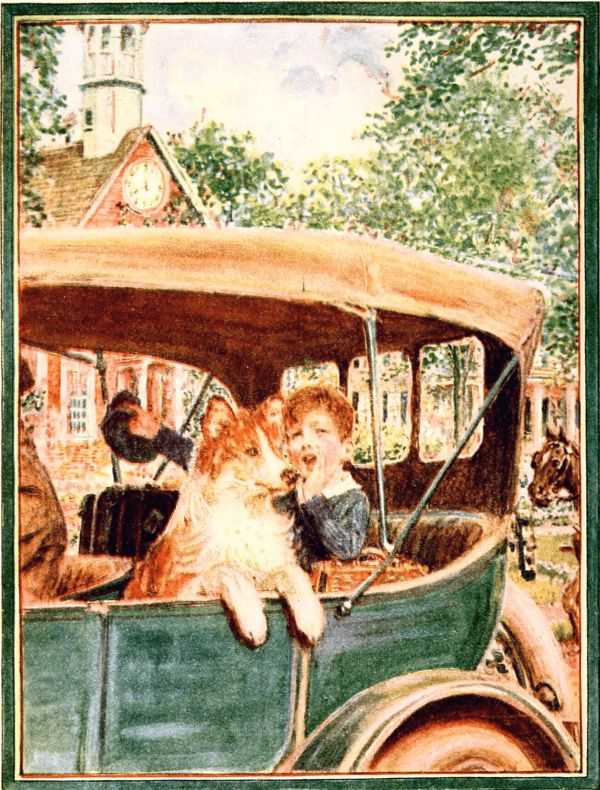 boy and dog in car