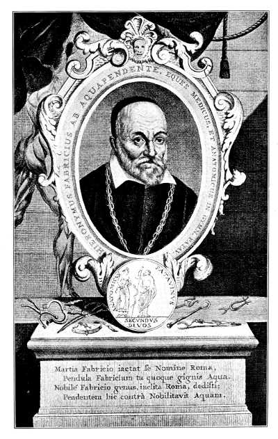 Girolamo Fabrizio.