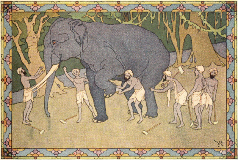 Elephant