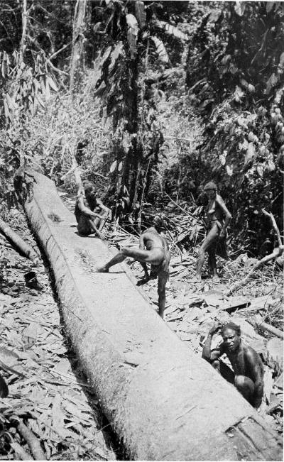 CANOE-MAKING: ROUGHLY SHAPING THE FELLED TREE.