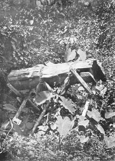 DISPOSAL OF THE DEAD. A COFFIN ON TRESTLES.