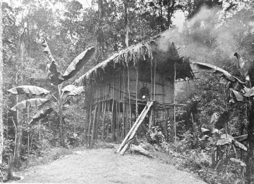 HOUSE OF THE TAPIRO.