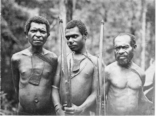 TYPES OF TAPIRO PYGMIES.