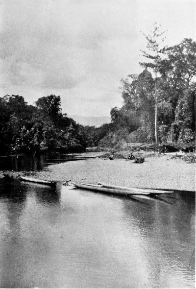 LOOKING UP THE MIMIKA RIVER FROM THE CAMP AT PARIMAU.