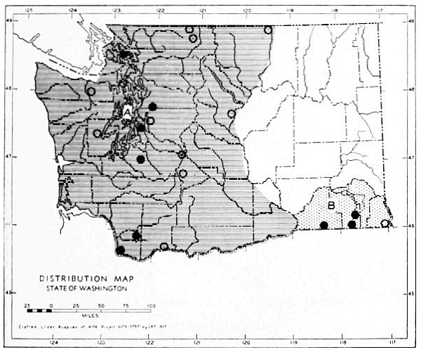 Fig. 37.