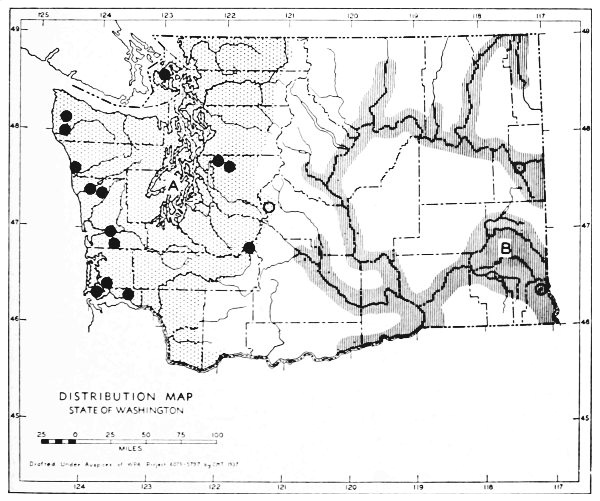 Fig. 52.