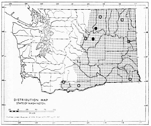 Fig. 67.