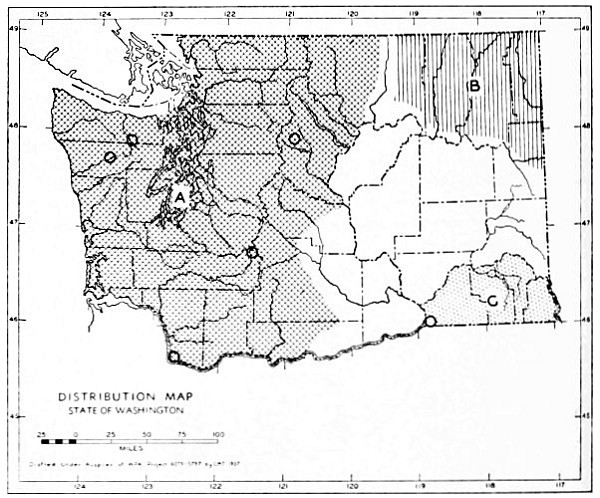 Fig. 71.