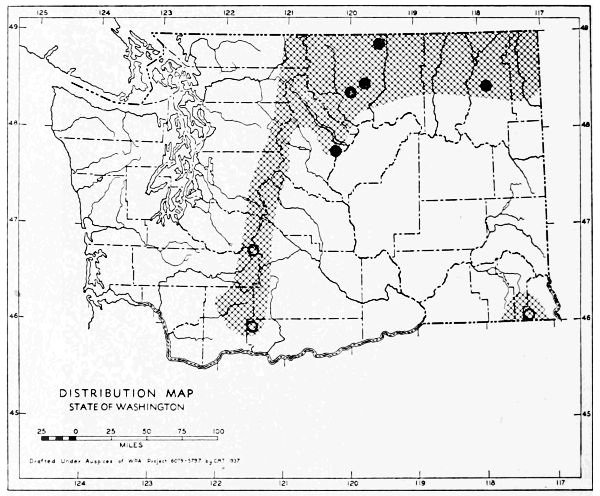 Fig. 77.