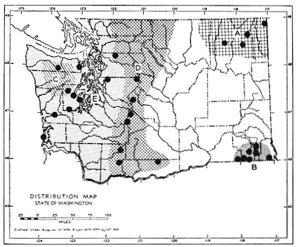 Fig. 111.