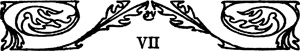 VII