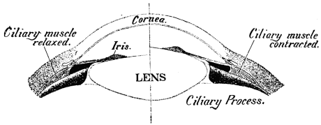 Image unavailable: Fig. 7.