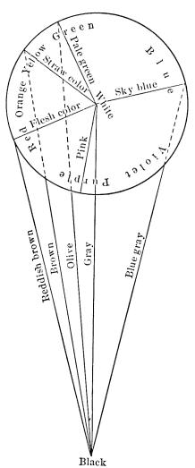 Image unavailable: Fig. 16 (after Ziehen).