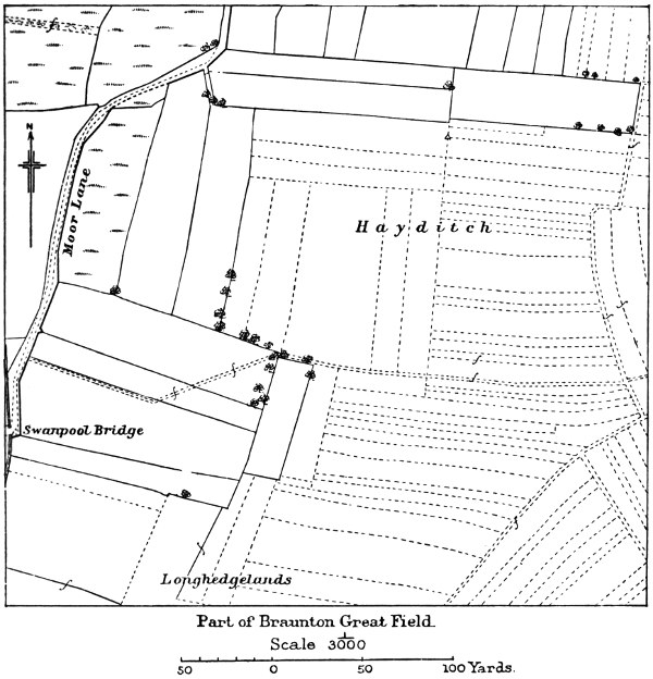 Part of Braunton Great Field.