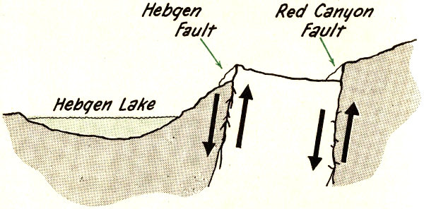 Surface elevation after quake.