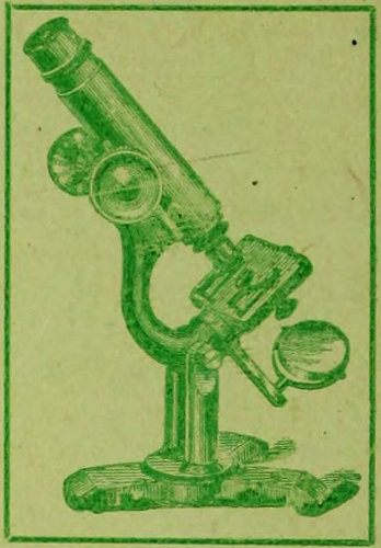 microscope