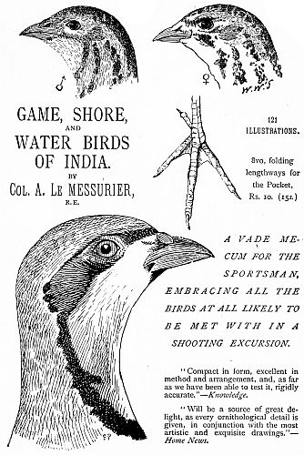 GAME, SHORE, AND WATER BIRDS OF INDIA.  BY Col. A. Le MESSURIER, R.E.  121 ILLUSTRATIONS.  8vo, folding lengthways for the Pocket, Rs. 10. (15s.)  A VADE MECUM FOR THE SPORTSMAN, EMBRACING ALL THE BIRDS AT ALL LIKELY TO BE MET WITH IN A SHOOTING EXCURSION.