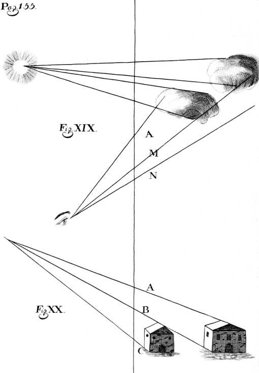 Fig. XIX y Fig. XX