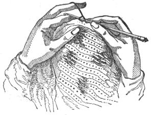 Illustration of hands crocheting