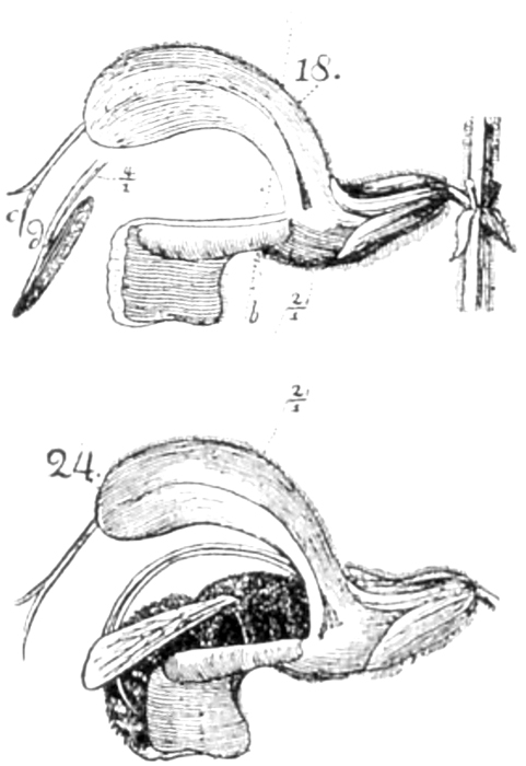 Abb. 19