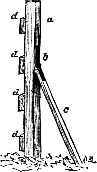 nailing holder