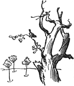 Knorriger Baum