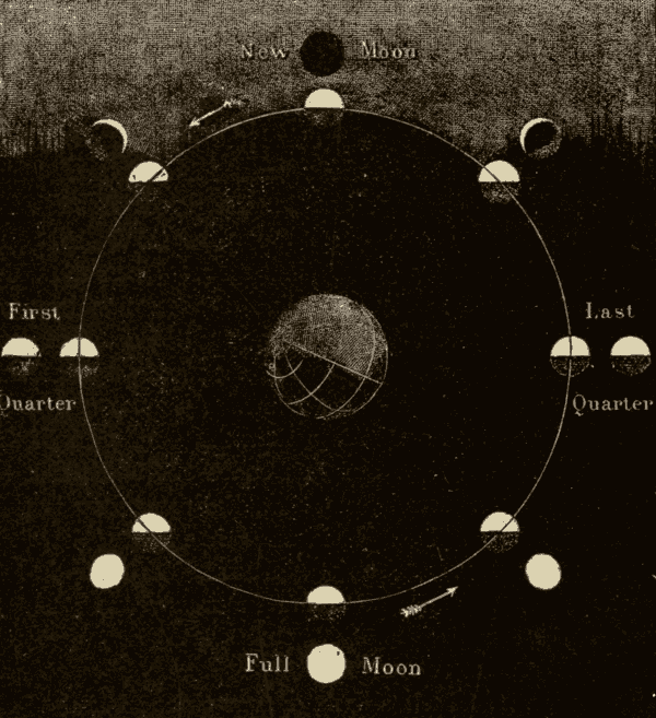 Moon Phases