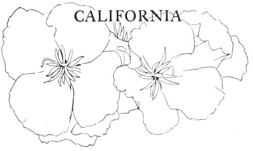 CALIFORNIA