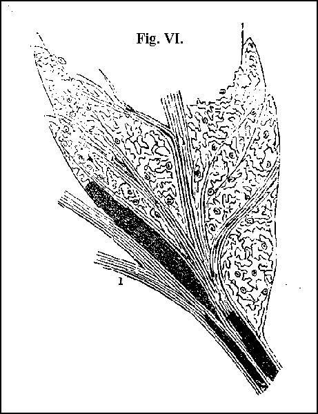 Fig. VI.