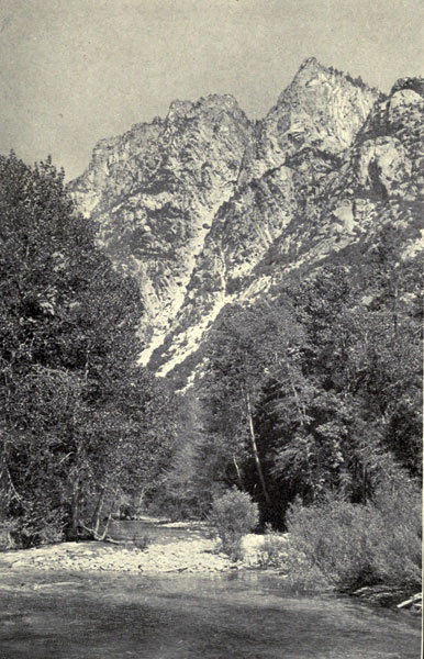 A Trout Stream in the Sierra Nevada (King’s River)