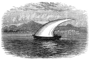 ARAB DHOW.