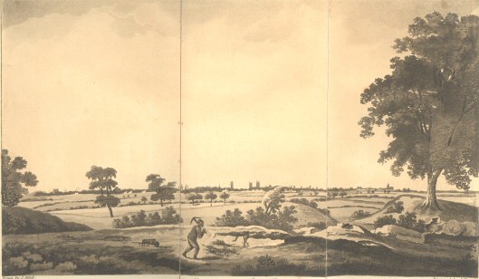 East View of Lynn Regis, pub. May 1, 1812 by W. G. Whittingham, Lynn.  Draw J. Sillett, engraved J. Hassell