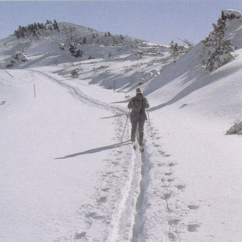 Crosscountry skiers