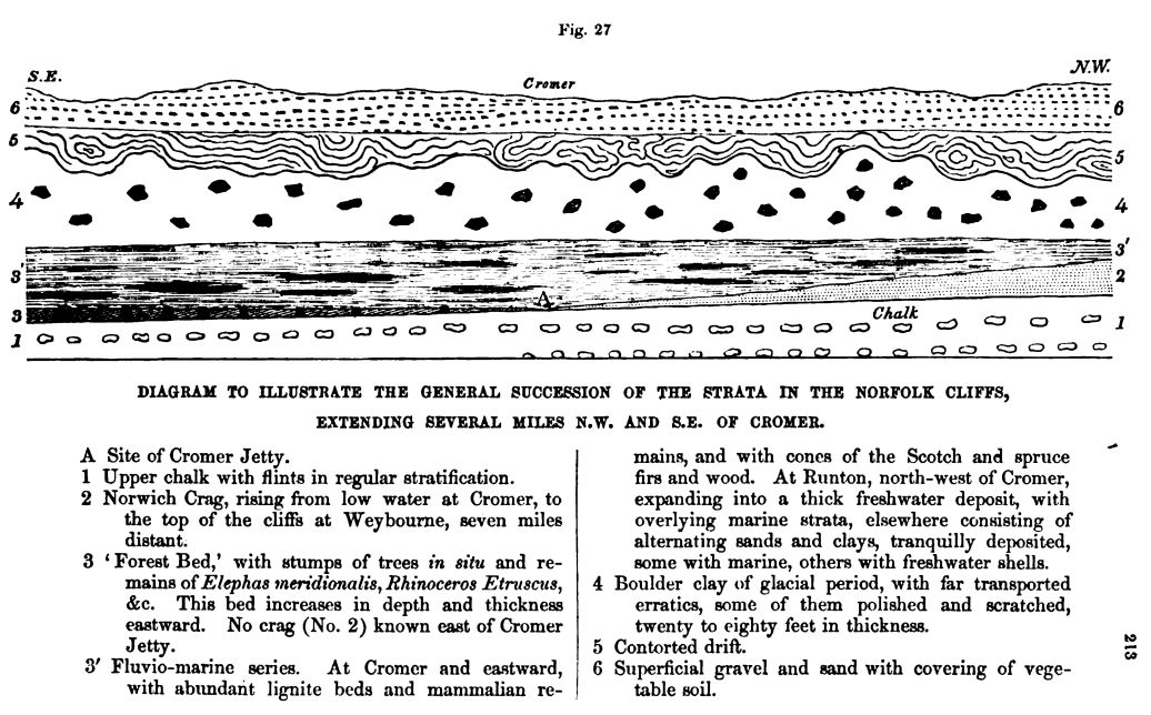 Figure 27. Succession of Strata 