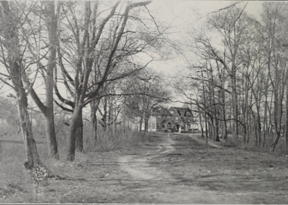 The Old Bloomfield Road in 1903.