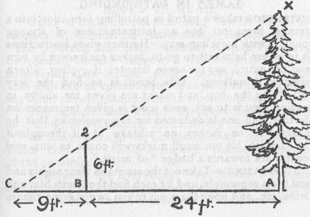 Height.