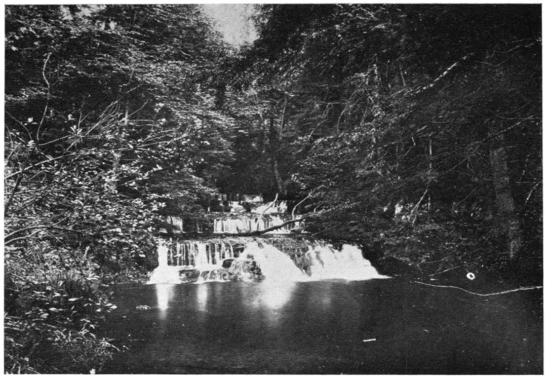 Falls at Stony Brook, Stokes State Forest, in Northern New Jersey